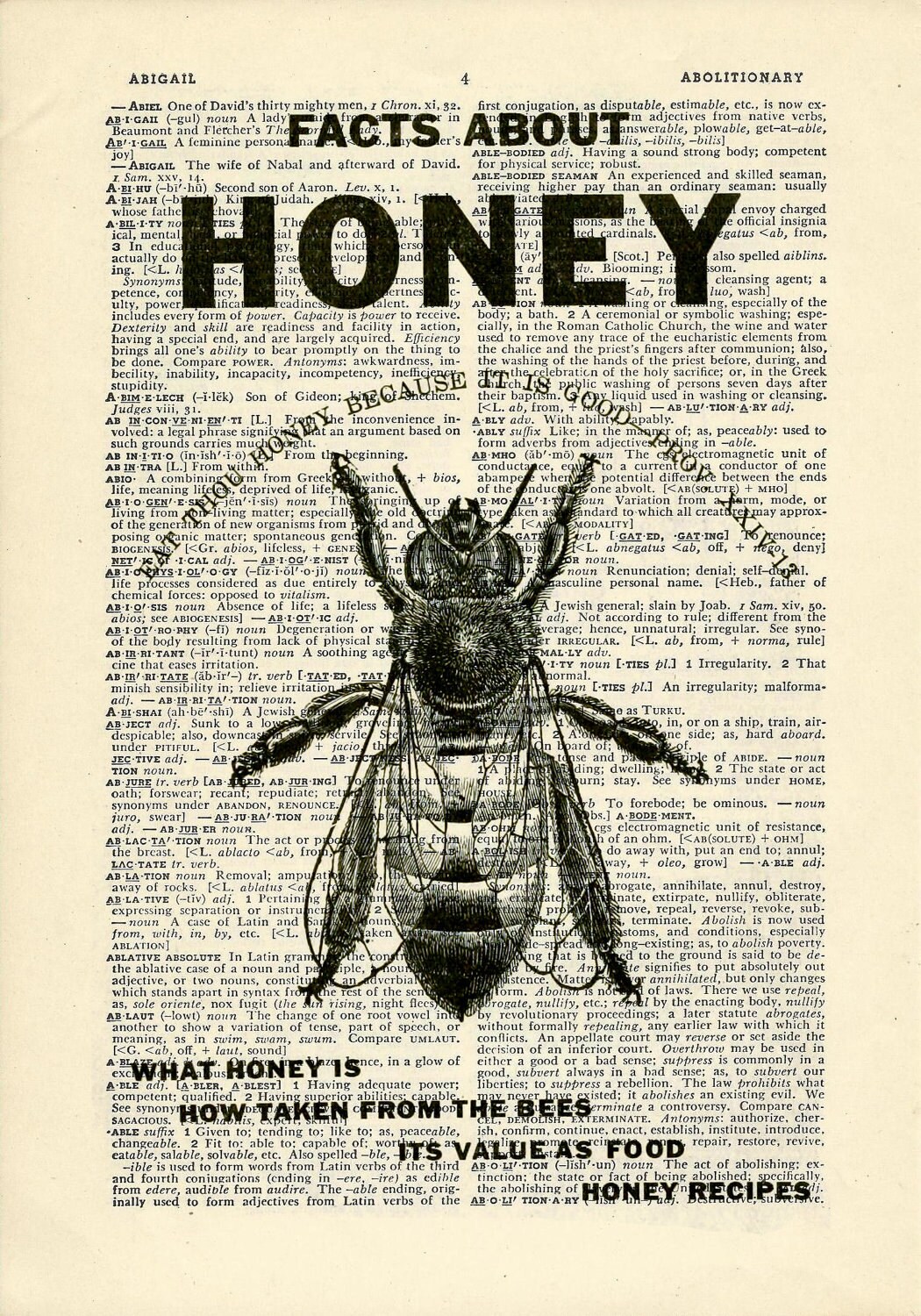 Honey Bee Dictionary art vintage flying insects on Upcycled Etsy