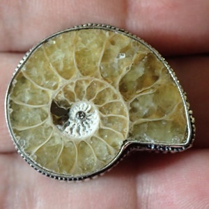 Big Fossil Ammonite Sterling Silver Ring size 7 image 1