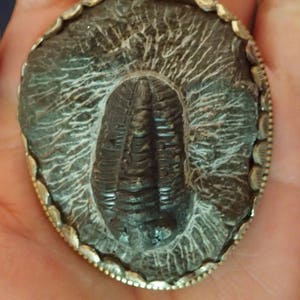 Trilobite Fossil Pendant in Matrix with Monkey in Silverwork on back image 1