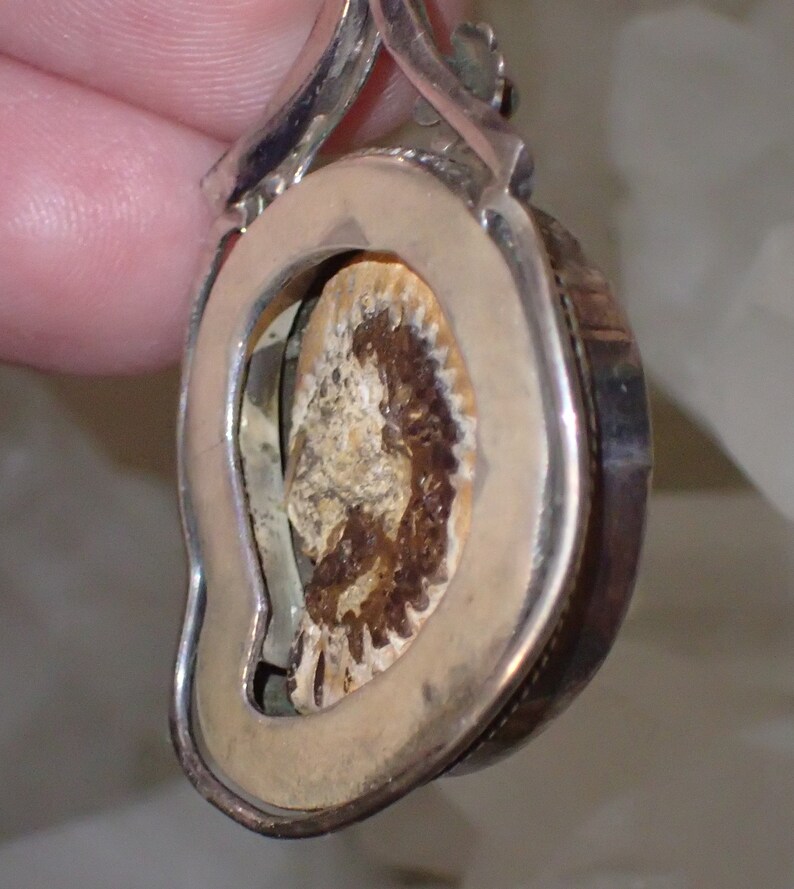 Fossil Ammonite in Sterling Silver Pendant