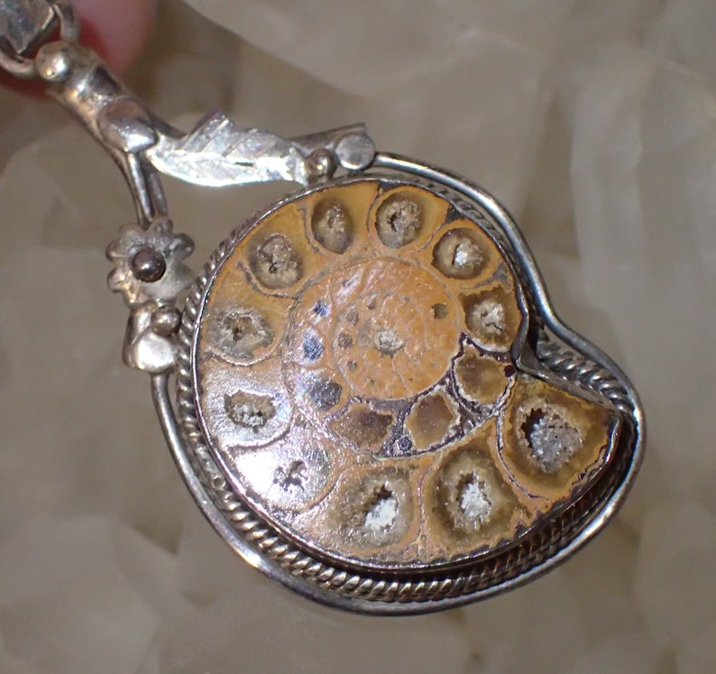 Fossil Ammonite in Sterling Silver Pendant