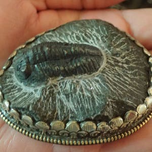 Trilobite Fossil Pendant in Matrix with Monkey in Silverwork on back image 2