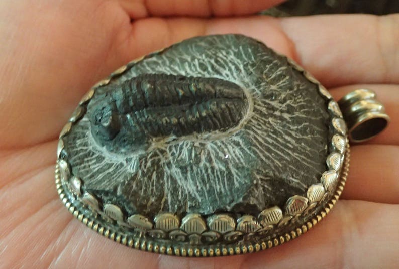 Trilobite Fossil Pendant in Matrix with Monkey in Silverwork on back image 2