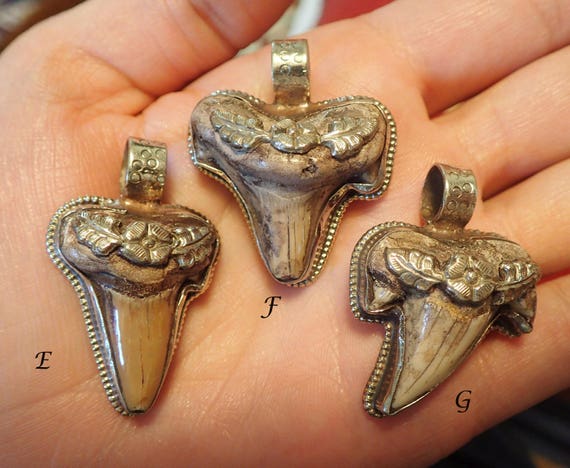 Vintage Sterling Necklace With Antique Fossil Tooth Pendant