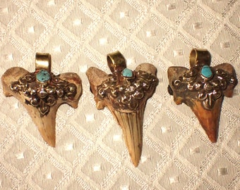 Real Fossil Shark Tooth Pendant with spot of turquoise  1.5 inch