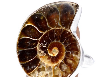 Fossil Ammonite Sterling Silver Ring size 10.5