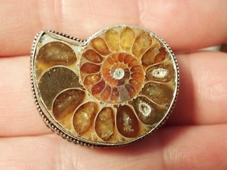Nice Ammonite Gemstone Sterling Silver Ring Sz. 8 image 2