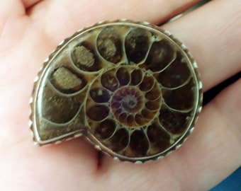 Big Ammonite Fossil Sterling Silver Ring  with inlay turquoise, lapis, coral. size adjustable