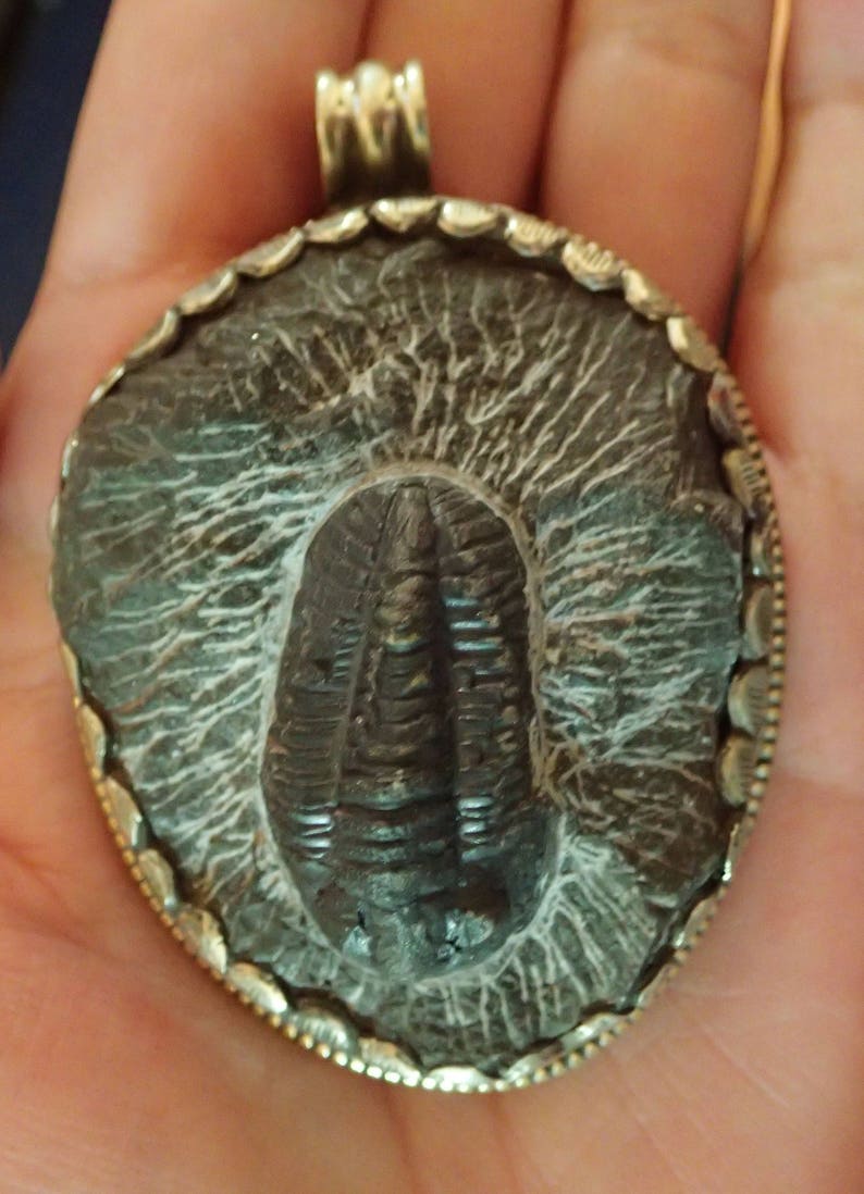 Trilobite Fossil Pendant in Matrix with Monkey in Silverwork on back image 1