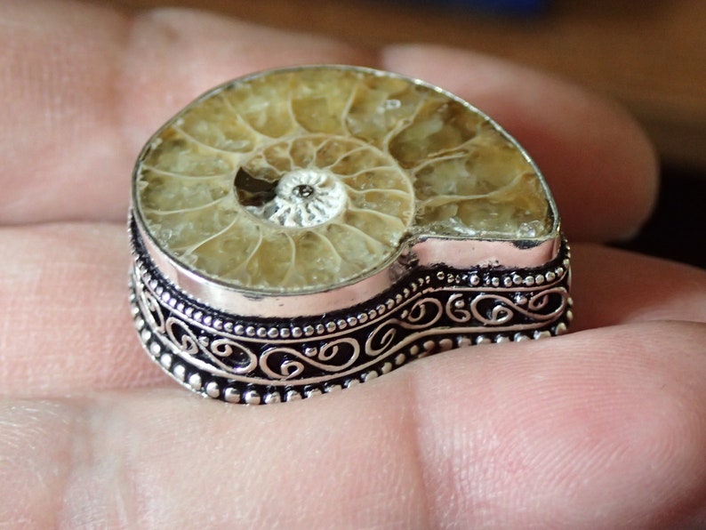 Big Fossil Ammonite Sterling Silver Ring size 7 image 3