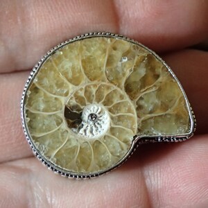 Big Fossil Ammonite Sterling Silver Ring size 7 image 4