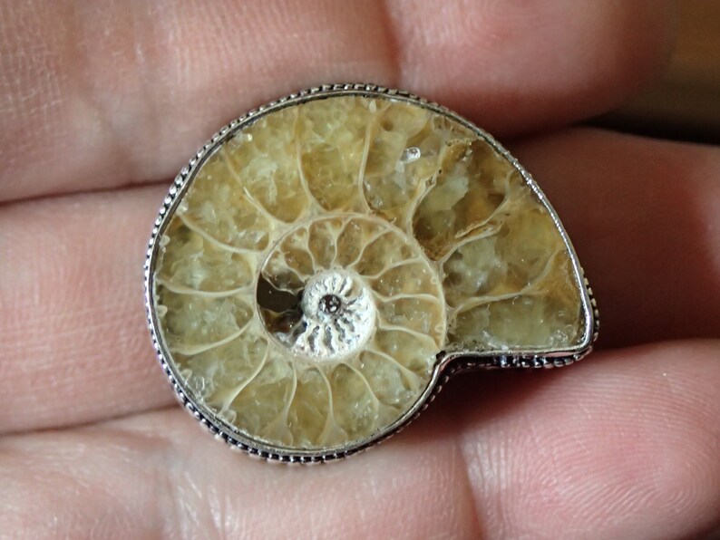 Big Fossil Ammonite Sterling Silver Ring size 7 image 4