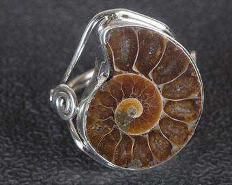 Natural Ammonite Fossil Shell  Sterling Silver Ring