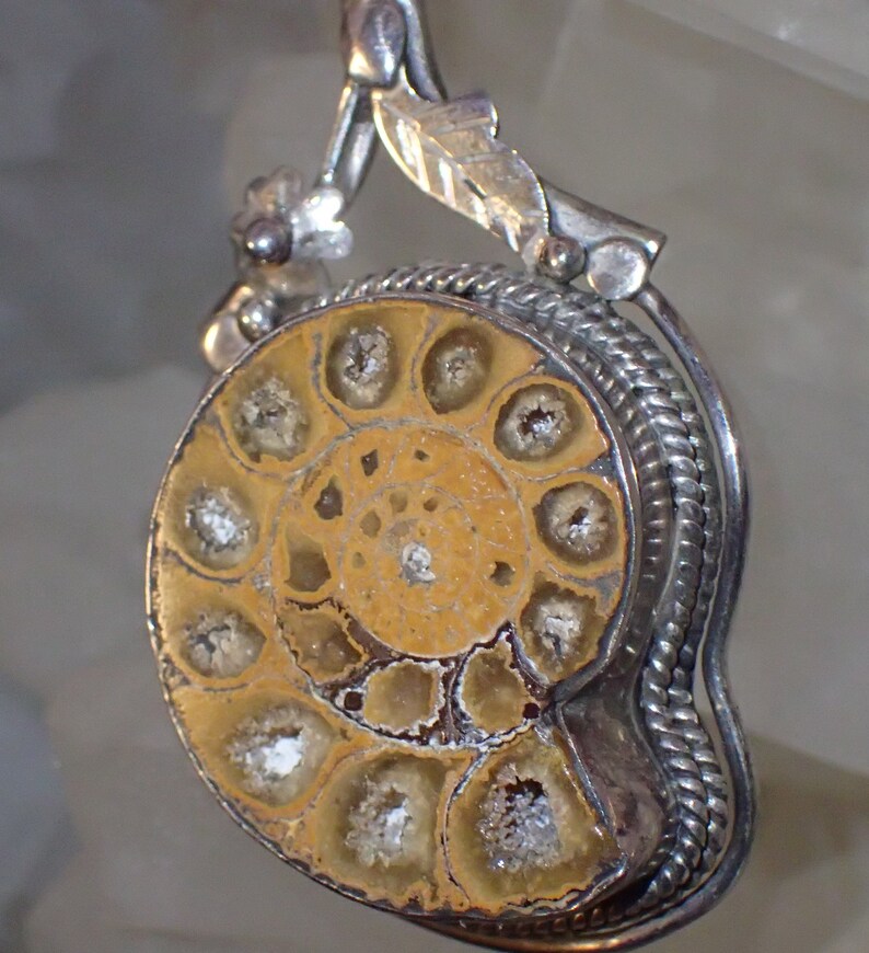 Fossil Ammonite in Sterling Silver Pendant
