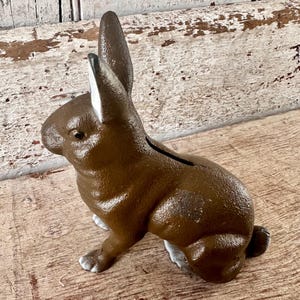 May include: A brown cast iron rabbit figurine designed as a coin bank. The rabbit is in a seated position with upright ears, featuring white accents on the inner ears and paws. A narrow coin slot is visible along the back of the rabbit's body.