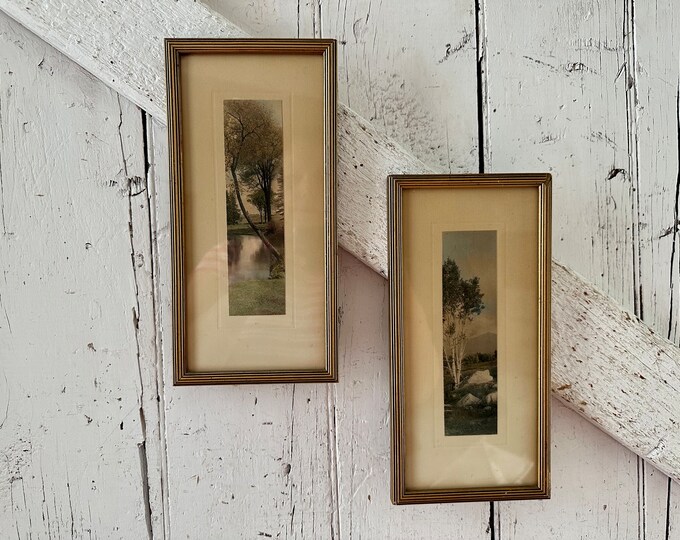 Antique Gold Frames Set of Two Frames Birch Tree Hand Colored Photos 5