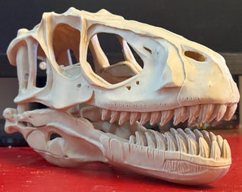 巨大なスピノサウルスの頭蓋骨（レプリカ） - Etsy 日本