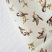 Forest Frolics Cream Birds by Heidi Boyd for Red Rooster Fabrics Print Fat Quarter 100% Cotton