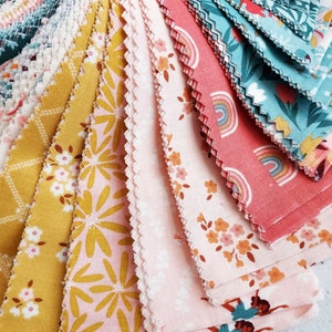Colett Design Riley Blake Designs Fairy Dust Jelly Roll Ashley Collett Design 2-1/2in ...