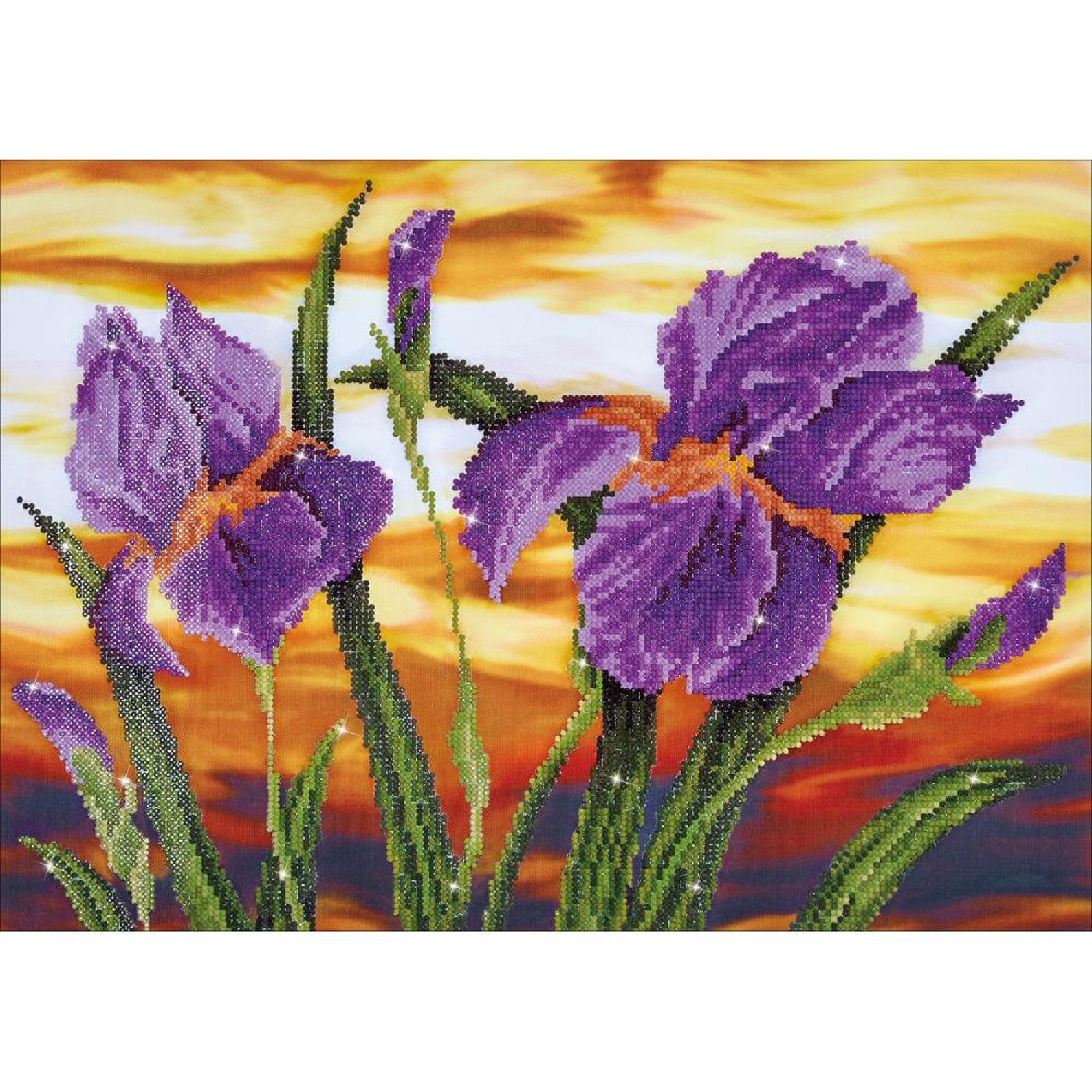 Diamond Dotz Irises Paint with Diamonds Bling Up Your Paint | Etsy