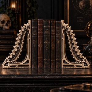 Op de afbeelding: Een paar gebroken witte boekensteunen in biomechanische stijl met ingewikkelde, geribbelde, ruggengraatachtige structuren die vijf boeken in vintage-stijl flankeren met de titels The Void Between Worlds, Anatomy of Machines, The Silent Cathedral, Flesh and Steel en Stars in Blood.
