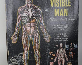 Vintage 1970s Revell the Visible Man Anatomy Model Kit