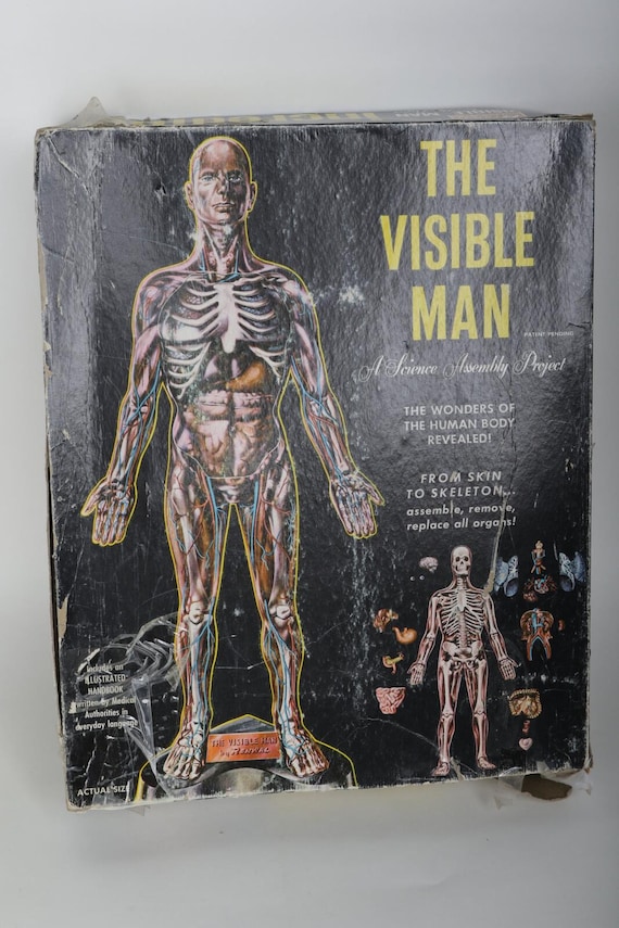 60's Renwal the Invisible Man Anatomy Model Kit - Etsy