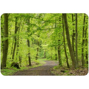 May include: A vibrant green forest scene with a winding dirt path. Tall trees with light green leaves create a canopy overhead. The path curves through the woods, inviting exploration. The image is a nature-themed design.