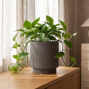 Geribbelde plantenpot op voet, gegroefde kamerplantenpot 16,5 cm, architectonische decoratie, 3D-geprint - Gradino