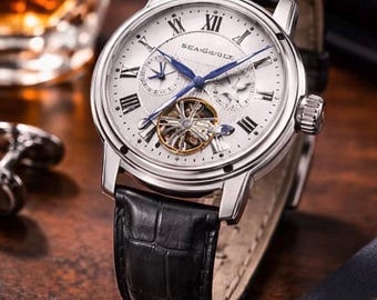 Men's Automatic Skeleton Watch, Stainless Steel Roman Dial, Leather Strap