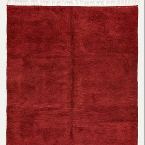 Pu&ograve; includere: Un tappeto rosso rettangolare e morbido con una trama a pelo lungo. Il tappeto &egrave; di colore pieno e ha una frangia di nappe bianche lungo un bordo. Il tappeto &egrave; probabilmente fatto di lana o materiale simile.