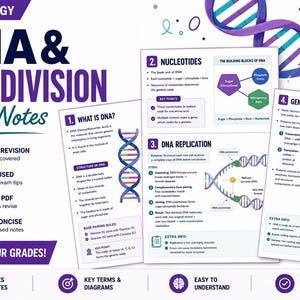 May include: A set of study notes for GCSE Biology, covering DNA and cell division. The notes are on white paper with purple and teal accents, featuring diagrams and key terms. The notes are exam-focused and printable.