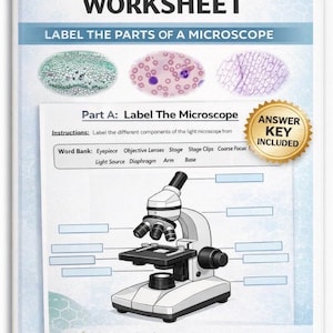 Hoja de trabajo y clave de respuestas del microscopio óptico / Actividad científica de biología
