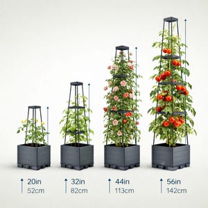 May include: Four black metal plant supports with integrated planters, each with a different height: 20 inches (52 cm), 32 inches (82 cm), 44 inches (113 cm), and 56 inches (142 cm). The supports hold plants with flowers and tomatoes.