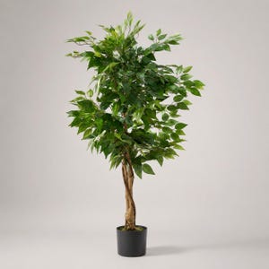 May include: An artificial ficus tree with lush green leaves and a textured, braided brown trunk. The plant is potted in a simple, solid black cylindrical container. The foliage is dense and layered, creating a full, upright silhouette.