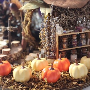 以下が含まれることがあります： オレンジとクリーム色のミニチュアかぼちゃが乾燥した苔の上に配置されています。小さな木製の棚には、ポーションボトルとクリスタルが並び、背景には乾燥したラベンダーやその他の自然要素があり、素朴なシーンを作り出しています。