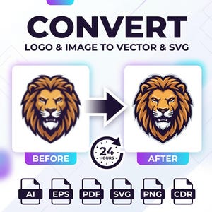 Aangepaste hertekenservice voor vectoren, conversie van logo naar SVG (24 uur)
