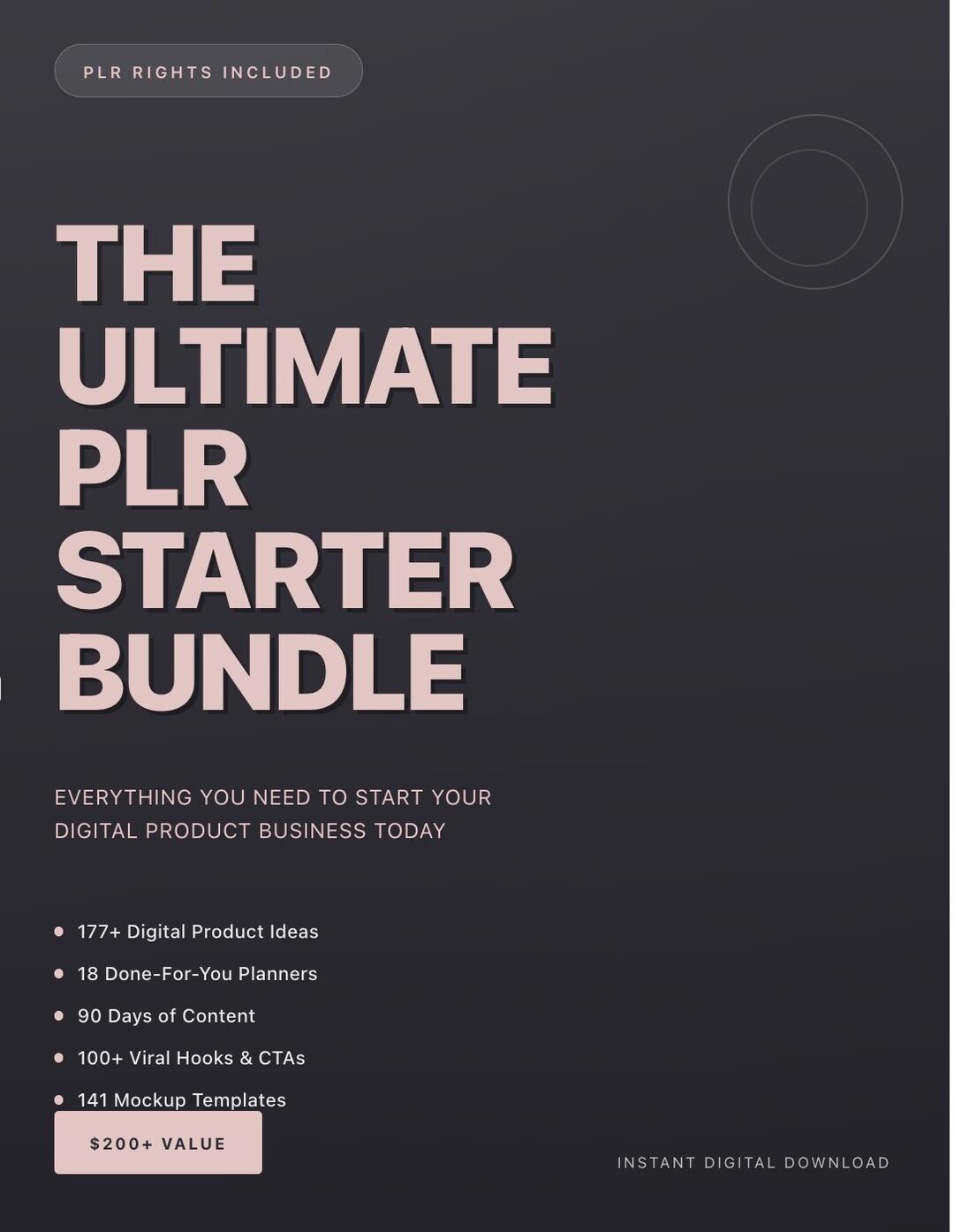 PLR Starter Bundle | Digital Products Business Kit | Faceless Marketing ...