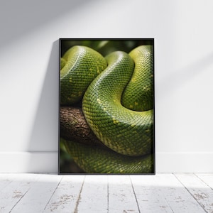 Puede incluir: Una impresión enmarcada que presenta un primer plano de una serpiente verde enrollada alrededor de una rama marrón. Las escamas de la serpiente tienen una apariencia texturizada con reflejos amarillos. La obra de arte se exhibe contra una pared blanca.