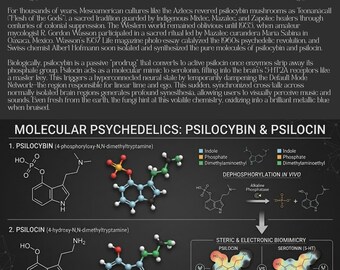 10 Psychedelic Posters Bundle | Molecular Psychedelic Wall Art | Psilocybin LSD DMT Mescaline Chemistry Prints |  Aesthetic Digital Download