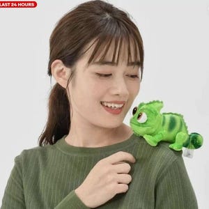 Peut inclure: Une peluche verte en forme de caméléon avec des rayures vert foncé et de grands yeux expressifs. Le jouet est posé sur l'épaule d'une personne. La personne porte un t-shirt vert à manches longues. Le texte "LAST 24 HOURS" est dans un encadré rouge en haut à gauche.