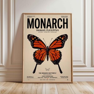 Monarch Butterfly Study Poster: Orange Wing Specimen Illustration, Vintage Style Nature Wall Art