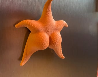 Funny Starfish Fridge Magnet, Thicc Starfish Meme Magnet, 3D Printed Ocean Magnet, Cheeky Beach House Decor, Novelty Gift