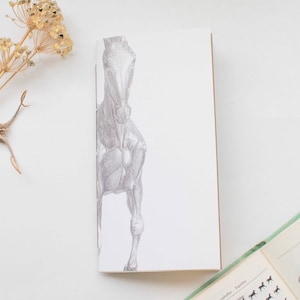 Equine Anatomy Traveler&#39;s Notebook: Junk Journal, 60 Pages, Choice of Size