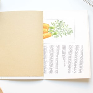 May include: Open cookbook with a blank page and a colorful illustration of carrots and dill. Kitchen tools, including a whisk and wooden spoon, are visible on a white surface, suggesting a culinary theme.