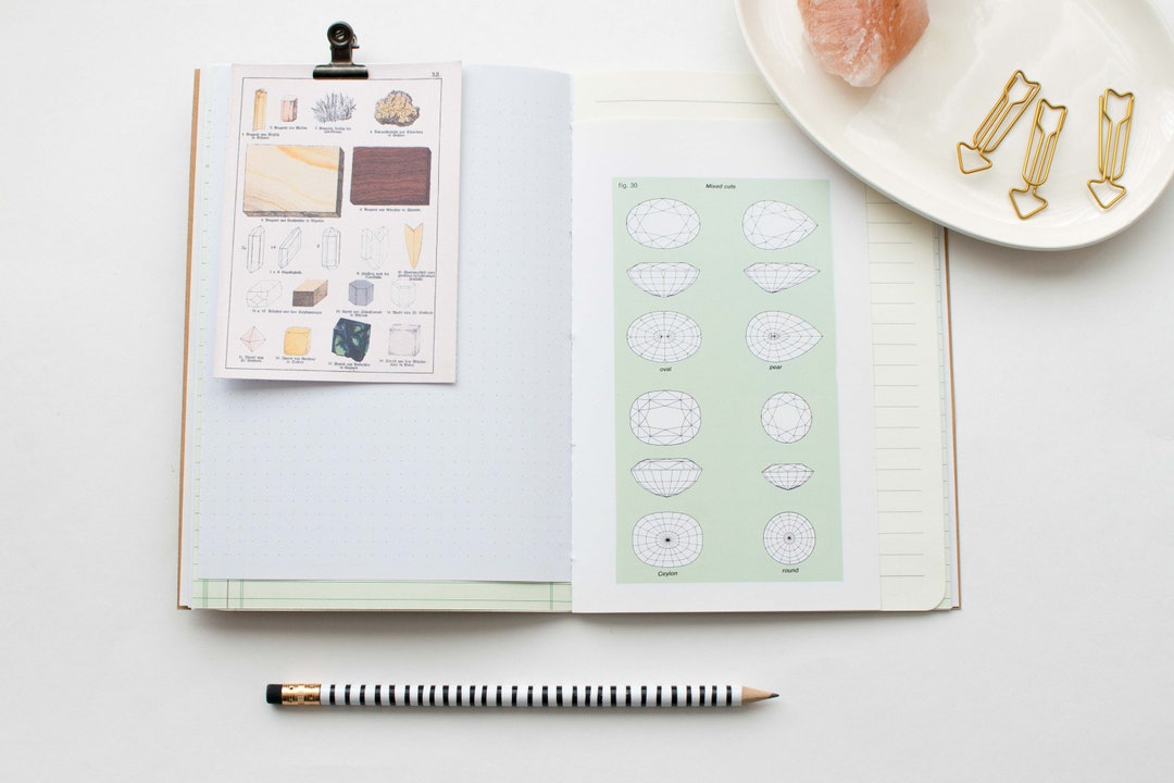 Traveler's Notebook Mineralogy Journal Minimal Insert A5, No. 8, Junk