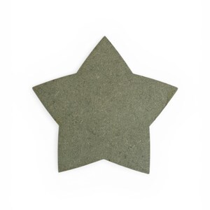 May include: A gray, five-pointed star shape, possibly made of wood or a similar material. The star has a textured surface and a simple, minimalist design. The star is isolated on a white background.