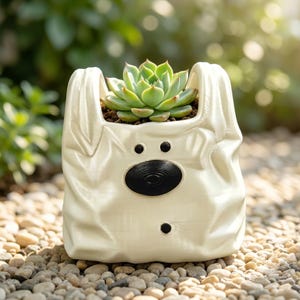 Puede incluir: Una maceta en forma de perro, de color crema, con nariz y ojos negros, que contiene una planta suculenta verde. La maceta está sobre un lecho de pequeños guijarros, con un fondo verde borroso.