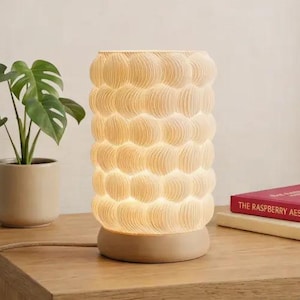 May include: A cylindrical table lamp with a textured, layered design, emitting a warm glow. The lamp sits on a wooden surface, next to a potted plant and a book titled "THE RASPBERRY AESTHETIC". The lamp's height is approximately 12 inches.