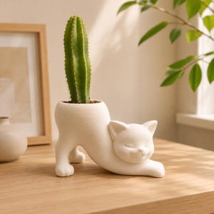 May include: A matte white ceramic planter shaped like a stretching cat with its front paws extended forward and its back arched. A tall, green, ribbed cactus is planted in the opening on the cat's back, which serves as the container for the plant.